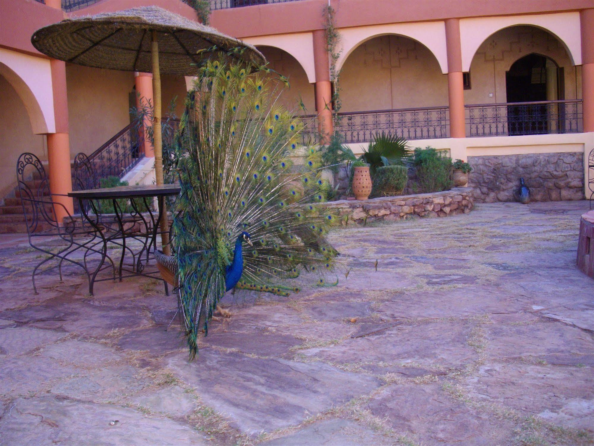 Kasbah Zitoune Tajda Dış mekan fotoğraf